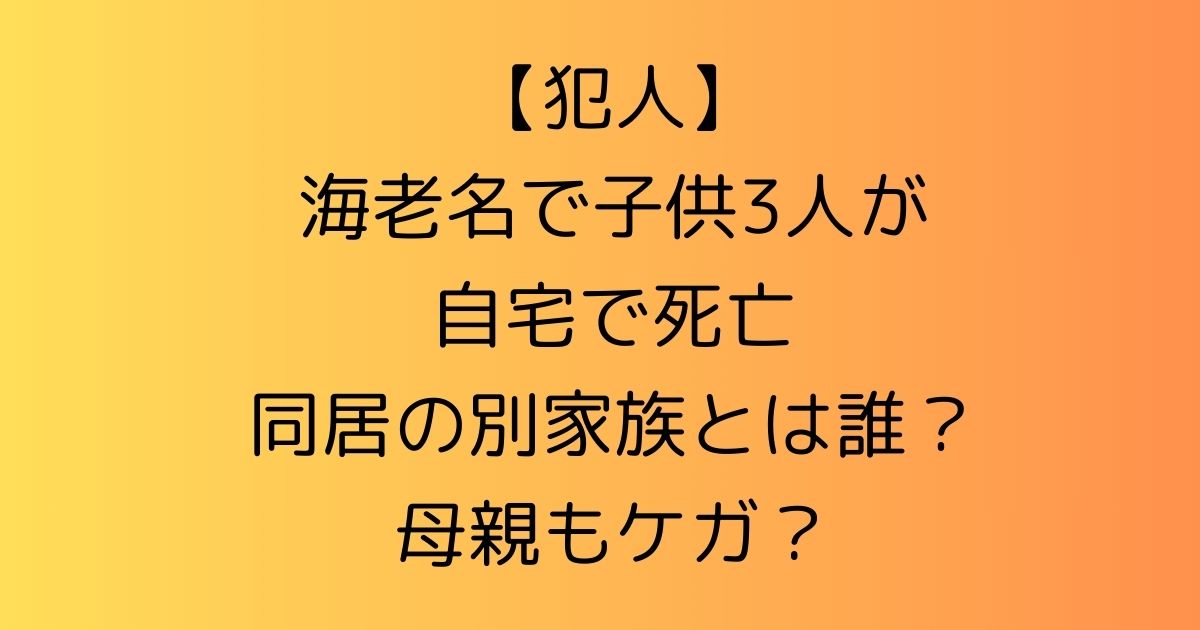 【犯人】海老名で子供3人が自宅で死亡|同居の別家族とは誰？母親もケガ？